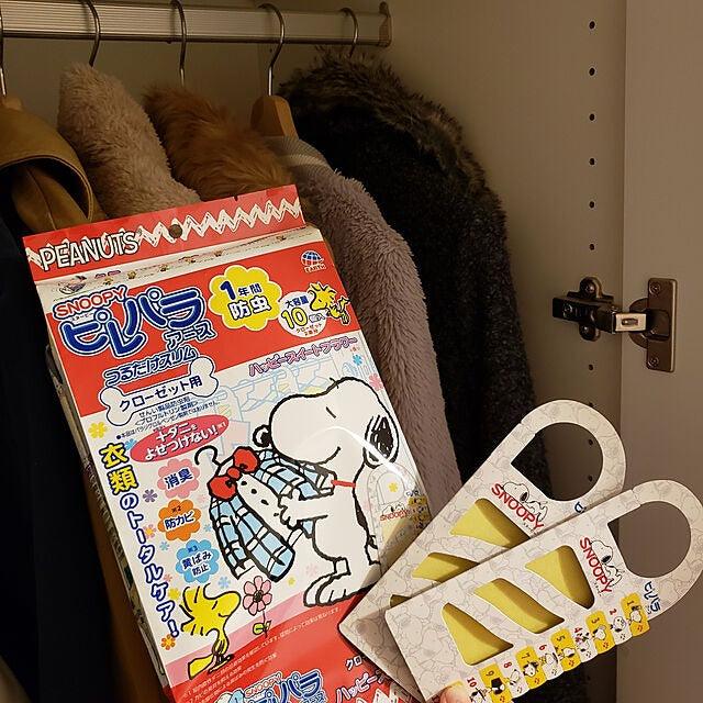 日本製 史努比衣櫃防蟲掛片10入|驅蟲 除臭 抗菌 防止泛黃 芳香 - 富士通販