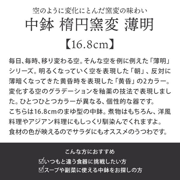 日本製 EAST table 美濃燒 窯變橢圓碗 | 深碗 不規則碗 咖哩碗