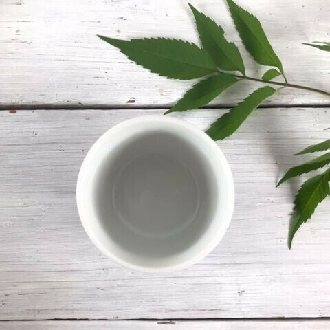 日本製 美濃燒 經典蒼十草碗盤 | 藍白線條 點心盤 飯碗 麵碗 湯碗 陶瓷碗盤