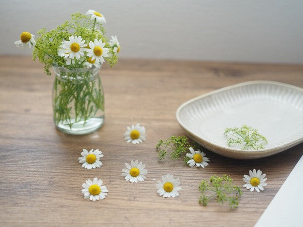 日本製 美濃燒 陶瓷撥水十草橢圓皿 | 橢圓盤 方盤 魚盤 小判皿 陶瓷盤 簡約方盤 日本製盤子