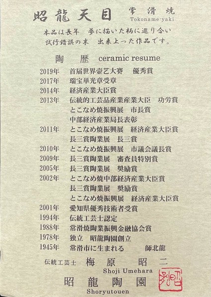 日本製 常滑燒 昭龍作 天目釉金蓋茶壺 | 極上急須 高級茶壺 日本茶壺 名工製作 收藏品