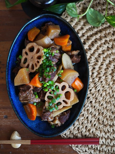 日本製 美濃燒 橢圓咖哩盤 五色 | 義大利麵盤 燉菜 沙拉盤 咖哩盤 商業餐具