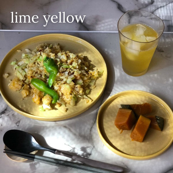 日本製 美濃燒 CLAIR 馬卡龍釉色平盤 | 圓盤 淺盤 吐司盤 甜點盤 沙拉盤