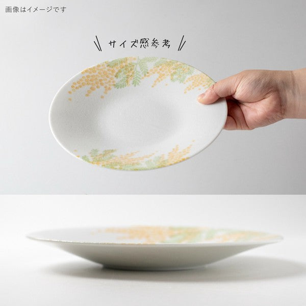 日本製 美濃燒 含羞草白釉碗盤 | 陶瓷碗 飯碗 圓盤 淺盤 多用碗 簡約北歐