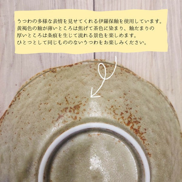 日本製 美濃燒 waka 和花系列 三色 | 碗盤 花造型 菊花盤 沙拉盤