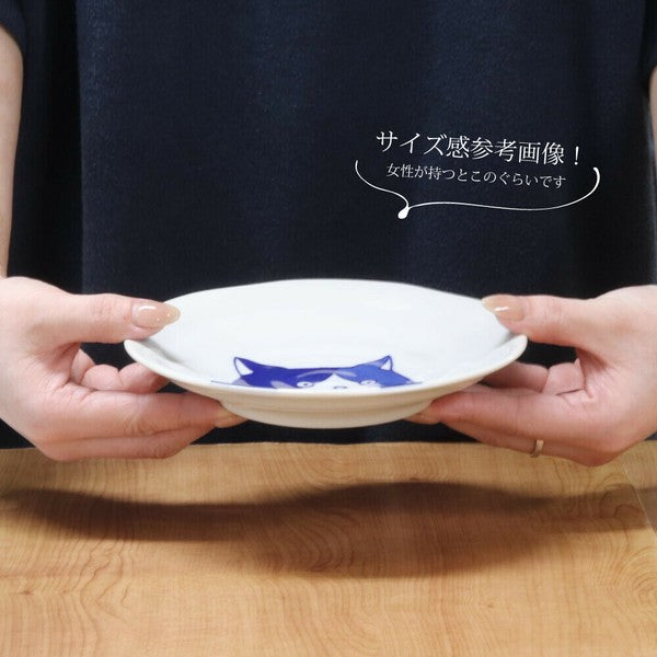 日本製 美濃燒 Shichita 陶瓷貓咪圓盤 16cm | 點心盤 水果盤 沙拉盤 甜點盤