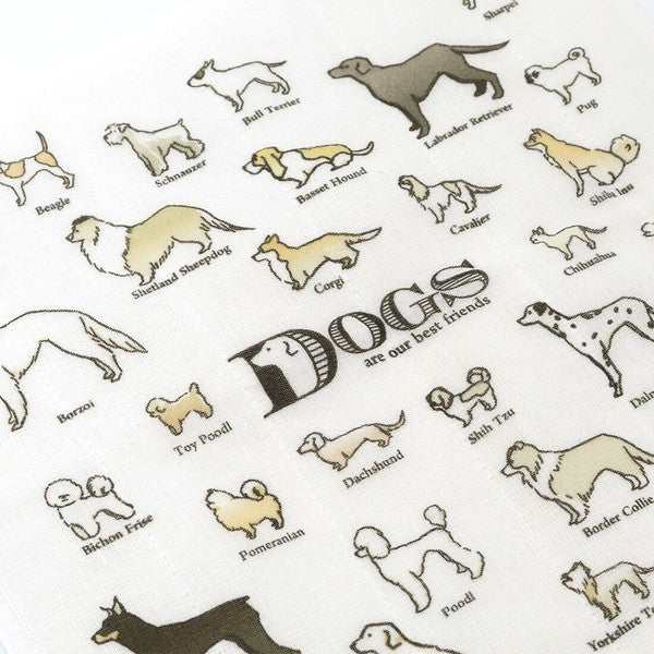 日本製 可愛動物圖鑑系列抹布 貓/狗/鳥 | 廚房抹布 方巾 家事布