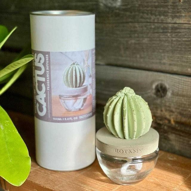 日本 DULTON 仙人掌香氛|擴香瓶 擴香石