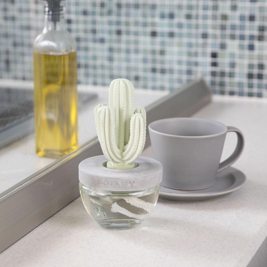 日本 DULTON 仙人掌香氛|擴香瓶 擴香石