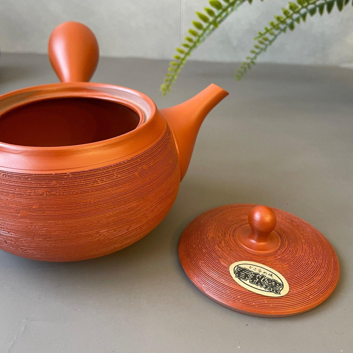 日本製 常滑燒 春秋窯 朱泥條紋 陶瓷茶壺|310cc - 富士通販