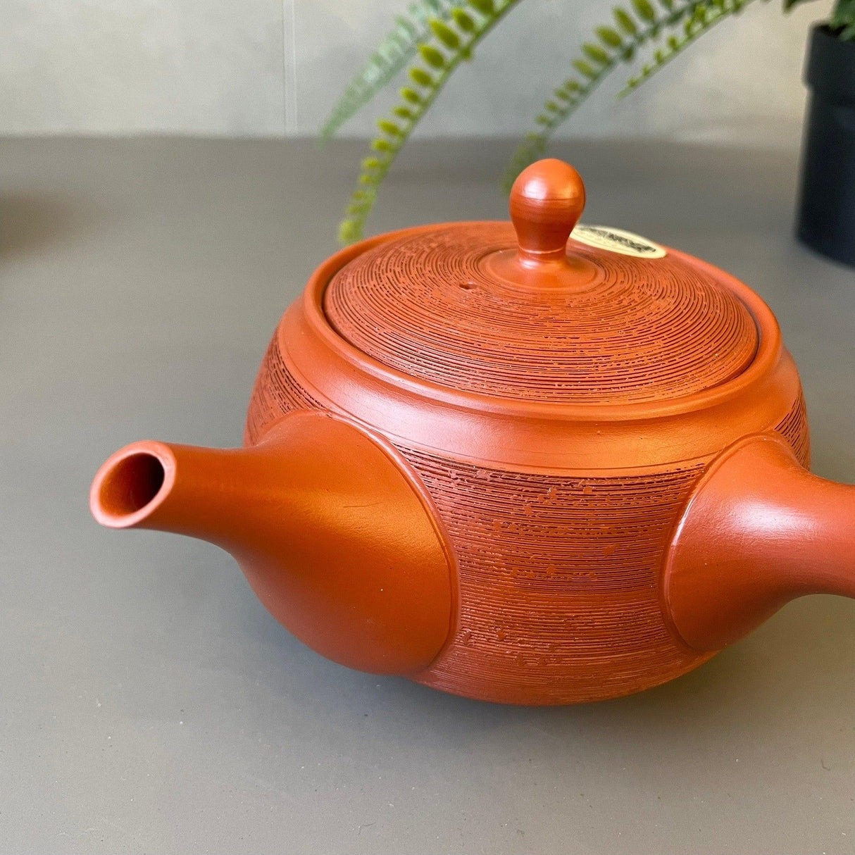 日本製 常滑燒 春秋窯 朱泥條紋 陶瓷茶壺|310cc - 富士通販