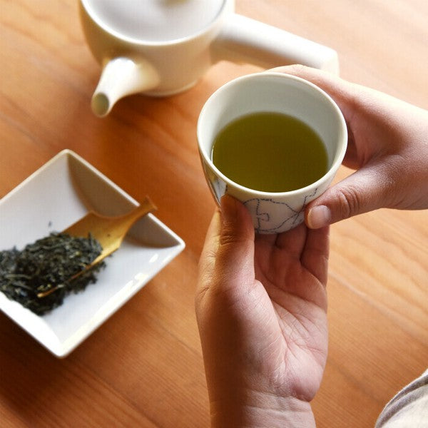 日本製 natural69 波佐見燒 swatch系列 豬口杯 | 日式茶杯 沙拉碗 茶碗蒸碗 醬汁碗