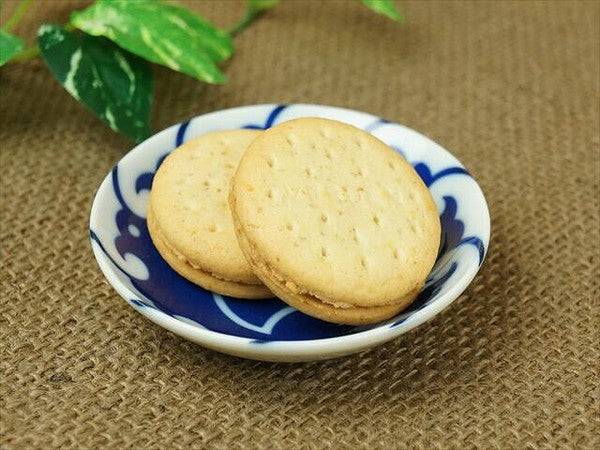 日本製 富士千鳥 Chidori 美濃燒圓形小碟 | 陶瓷碟 醬料碟