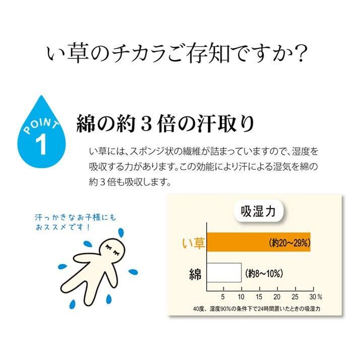 日本製蘭草草蓆_88x180cm|熊本燈芯草涼蓆單人睡墊 - 富士通販