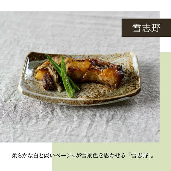 日本製 美濃燒 日式陶瓷魚盤 三色 | 刺身盤 烤魚 燒烤盤 甜點盤 日本料理盤子 刷毛目紋