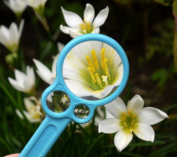 日本 RAYMAY 藤井 3.5-13倍兒童觀察放大鏡 | 老師推薦 放大鏡 附掛繩 學生文具