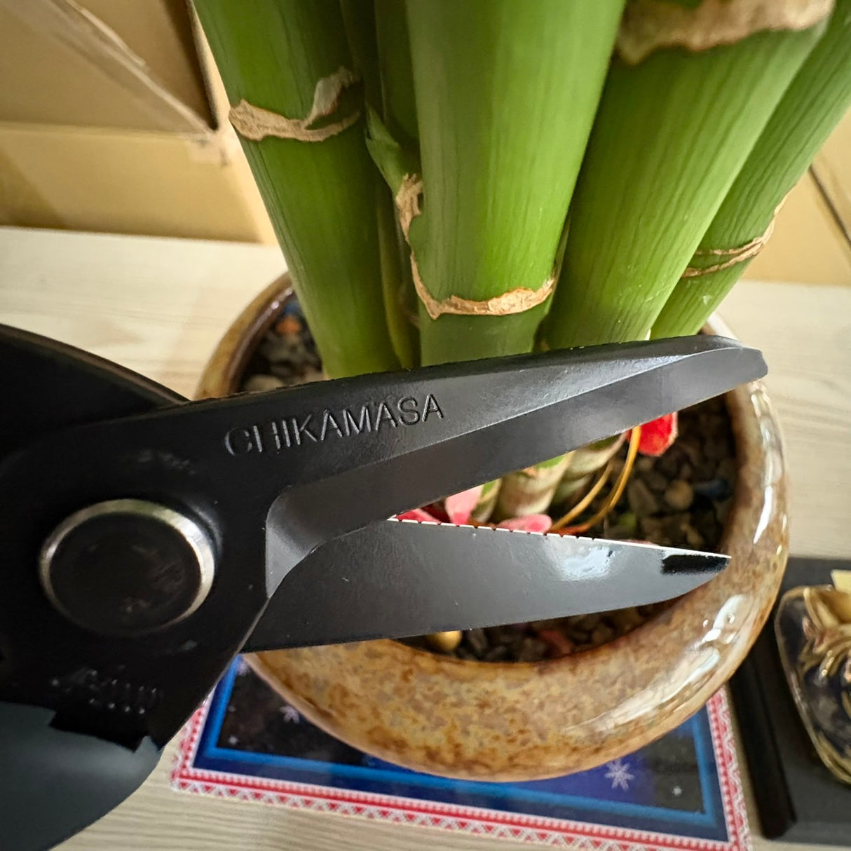 日本製 近正 修枝剪∣高碳鋼 黑色 JP-2000FBK CHIKAMASA