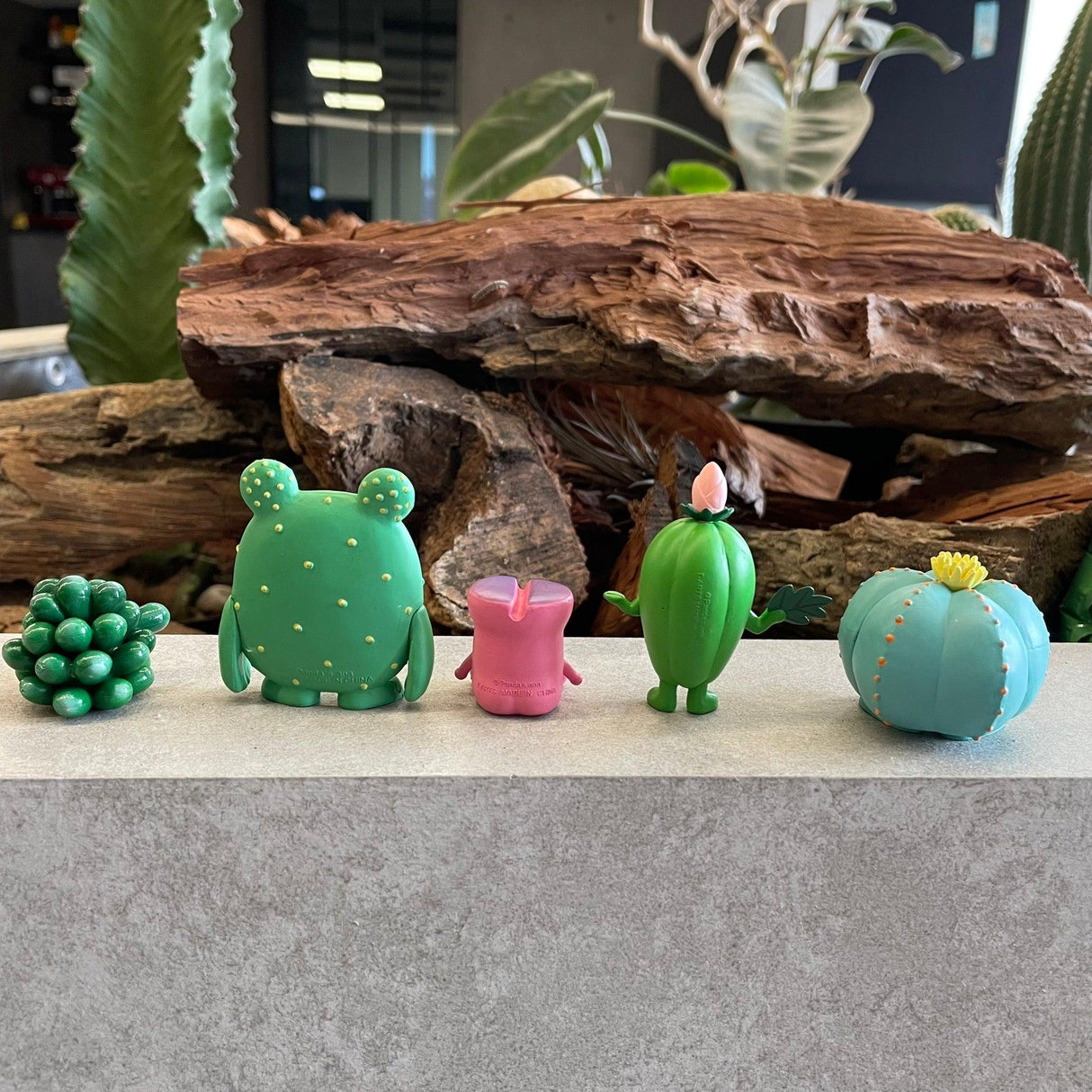 日本 熊貓之穴 仙人掌公仔 扭蛋|多肉植物 蛋糕裝飾 盆栽裝飾 - 富士通販