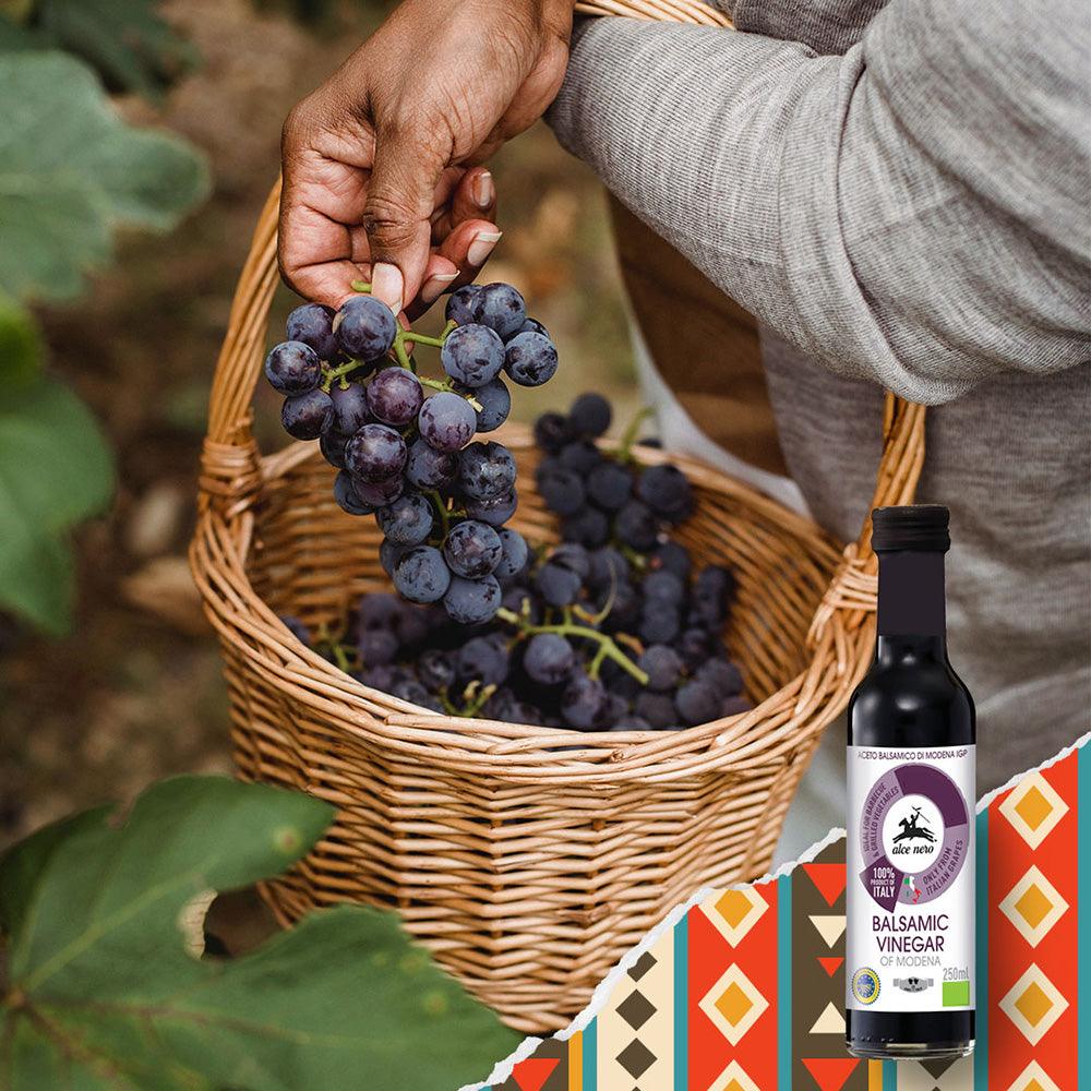 義大利 Alce Nero尼諾 巴薩米克醋 250ml |特製木桶釀造 葡萄原汁發酵 口感香醇 - 富士通販