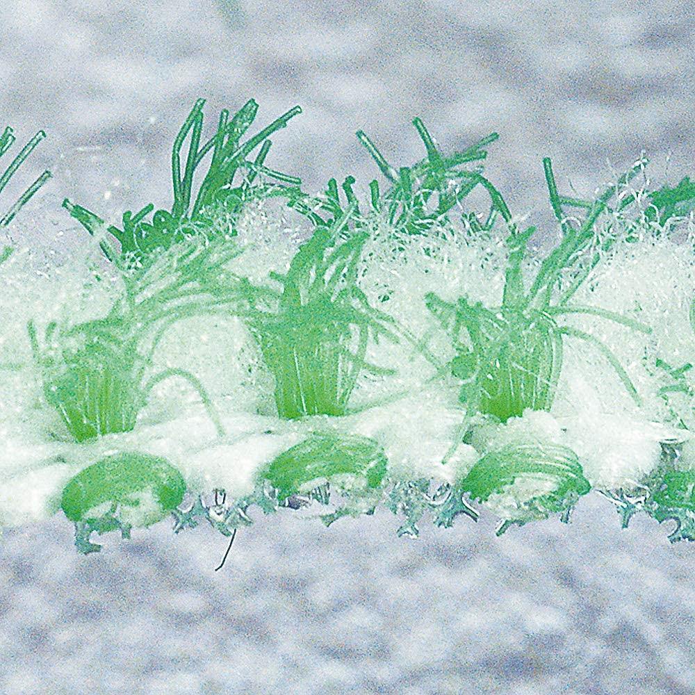 日本 Azuma牆壁|地板清潔刷-日本製 - 富士通販