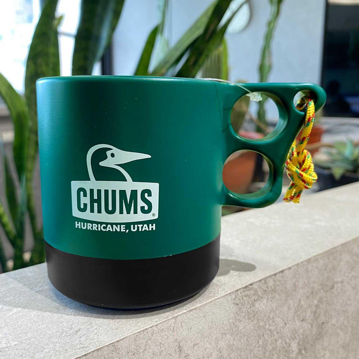 日本CHUMS Camper Mug Cup 露營馬克杯 13色 250ml|露營 登山 杯子 - 富士通販