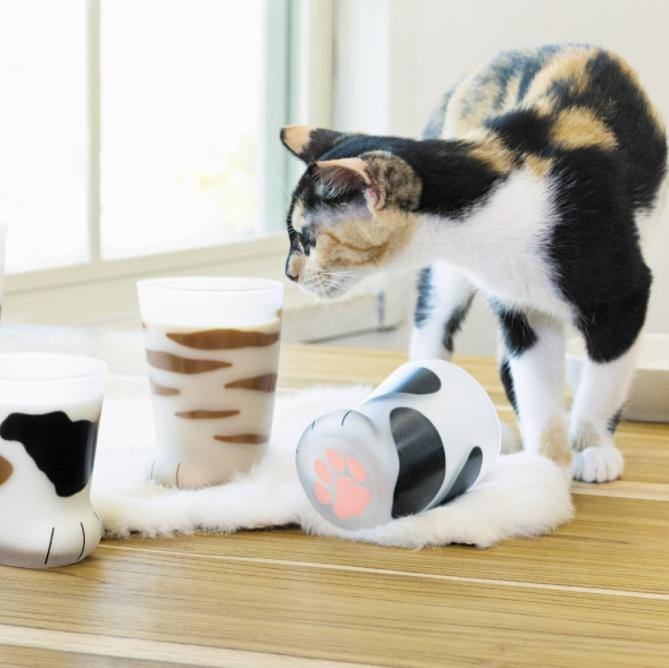 日本Coconeco貓掌玻璃杯|三花貓、橘貓、乳牛貓 - 富士通販