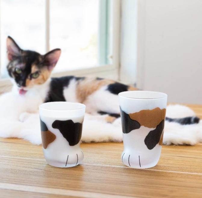 日本Coconeco貓掌玻璃杯|三花貓、橘貓、乳牛貓 - 富士通販