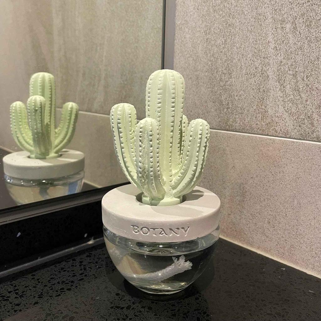 日本 DULTON 仙人掌香氛|擴香瓶 擴香石 - 富士通販