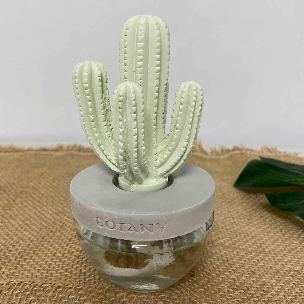 日本 DULTON 仙人掌香氛|擴香瓶 擴香石 - 富士通販