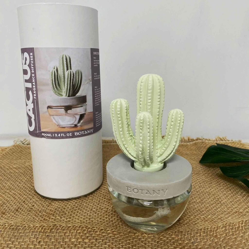 日本 DULTON 仙人掌香氛|擴香瓶 擴香石 - 富士通販