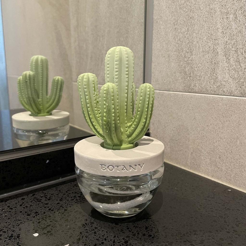 日本 DULTON 仙人掌香氛|擴香瓶 擴香石 - 富士通販