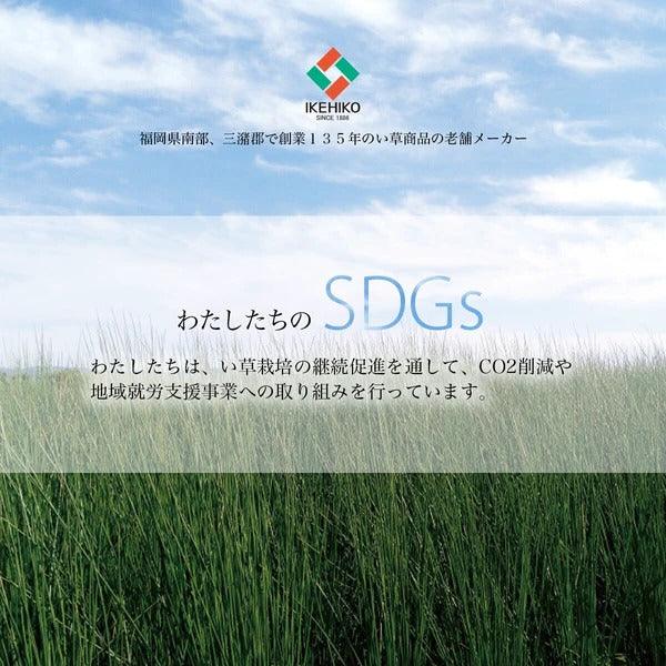 日本製 IKEHIKO 除臭除濕藺草花圈|花環 居家裝飾 掛飾 - 富士通販