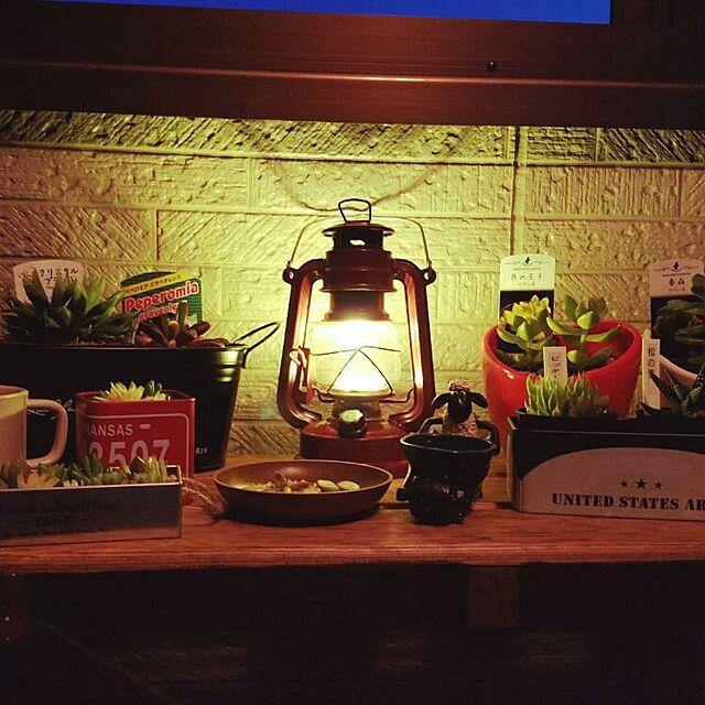 日本復古 免插電LED夜燈露營燈-電池式|不含電池(多款色系可選) - 富士通販