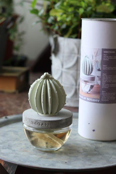 日本 DULTON 仙人掌香氛|擴香瓶 擴香石