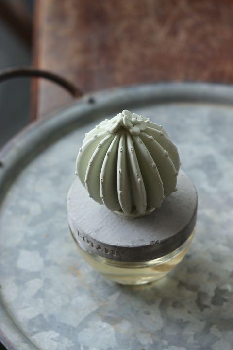 日本 DULTON 仙人掌香氛|擴香瓶 擴香石