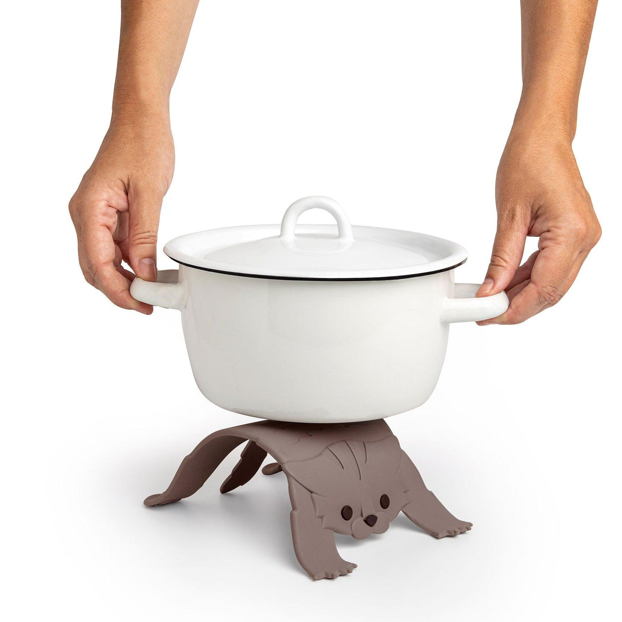 日本 OTOTO 怕怕貓 隔熱墊|防燙墊 鍋墊 - 富士通販