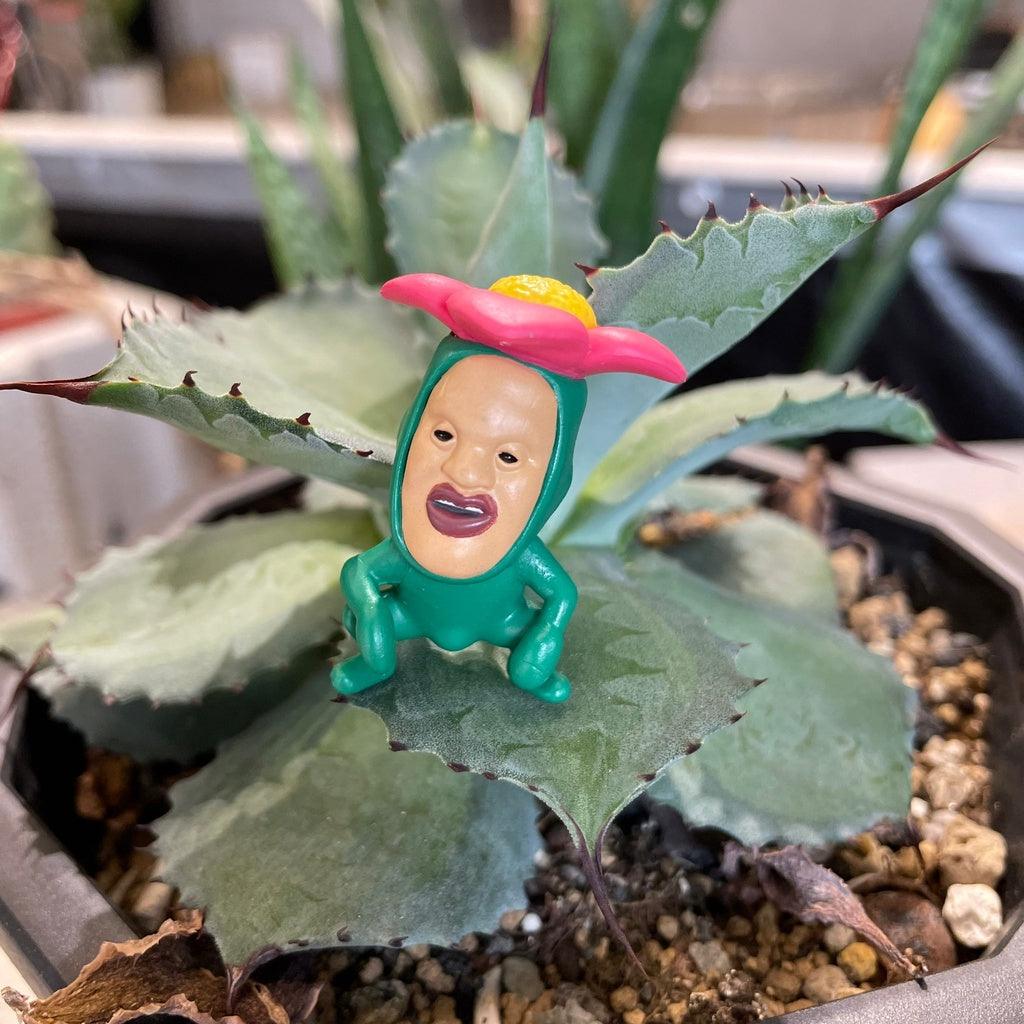 日本 Qualia 醜比頭坐姿公仔|日本扭蛋 療癒小物 擺飾 - 富士通販