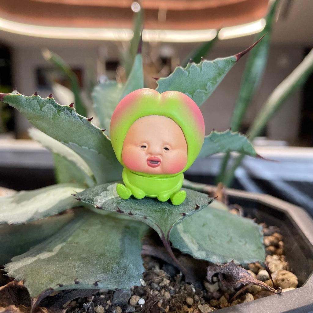 日本 Qualia 醜比頭坐姿公仔|日本扭蛋 療癒小物 擺飾 - 富士通販