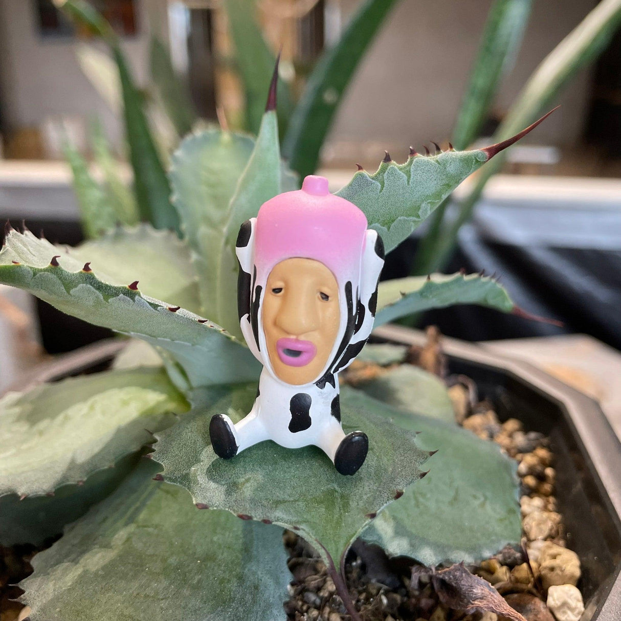 日本 Qualia 醜比頭坐姿公仔|日本扭蛋 療癒小物 擺飾 - 富士通販