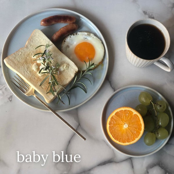 日本製 美濃燒 CLAIR 馬卡龍釉色平盤 | 圓盤 淺盤 吐司盤 甜點盤 沙拉盤