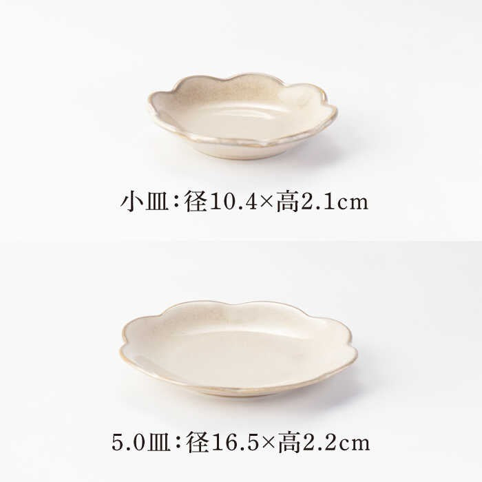 日本製 美濃燒 waka 和花系列 三色 | 碗盤 花造型 菊花盤 沙拉盤