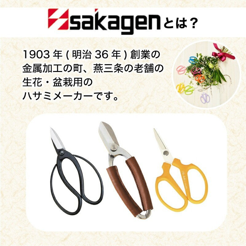 日本製 sakagen 坂源 花藝剪刀F-170 | 黑刃 白刃 園藝花藝剪刀 盆栽剪刀