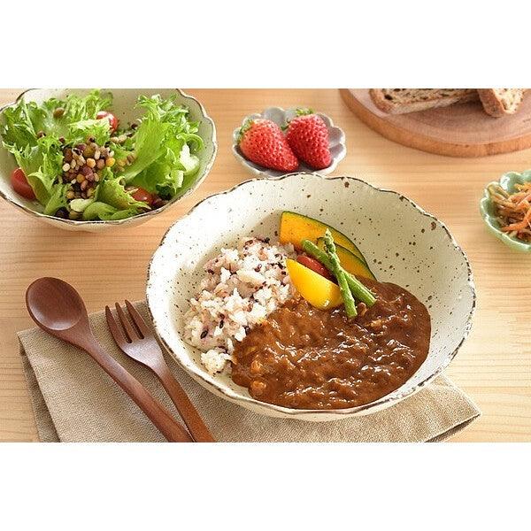 日本製 美濃燒 白化粧菊形 陶瓷盤|沙拉碗 咖哩盤 義大利麵盤 - 富士通販