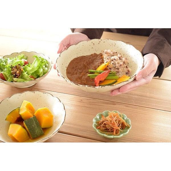 日本製 美濃燒 白化粧菊形 陶瓷盤|沙拉碗 咖哩盤 義大利麵盤 - 富士通販