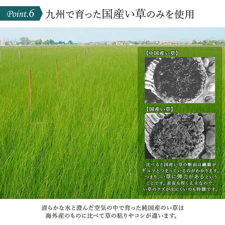IKEHIKO池彥 藺草瑜珈墊︱九州藺草 櫻花富士