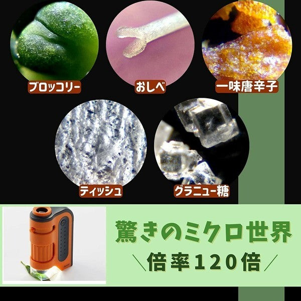 日本 RAYMAY 藤井 迷你顯微鏡RXT1142 RXT1143 | 攜帶型顯微器 兒童顯微鏡