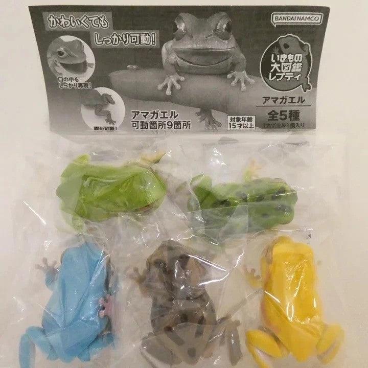 日本 BANDAI 萬代 生物大圖鑑日本雨蛙 扭蛋