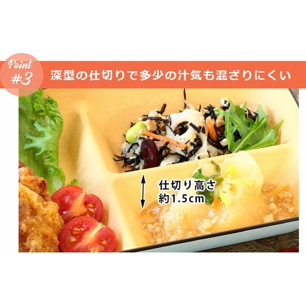 彩色樹脂分隔盤│輕量 耐熱 耐摔 露營盤 三隔盤