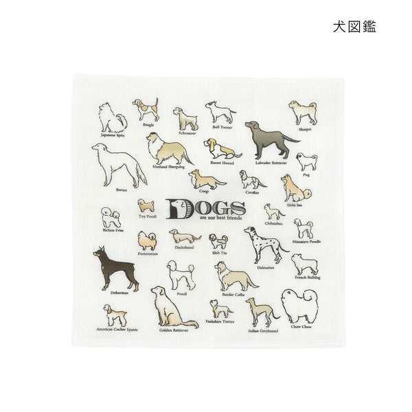 日本製 可愛動物圖鑑系列抹布 貓/狗/鳥 | 廚房抹布 方巾 家事布