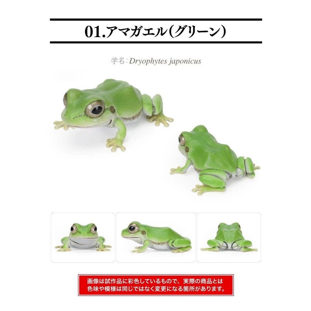 日本 BANDAI 萬代 生物大圖鑑日本雨蛙 扭蛋